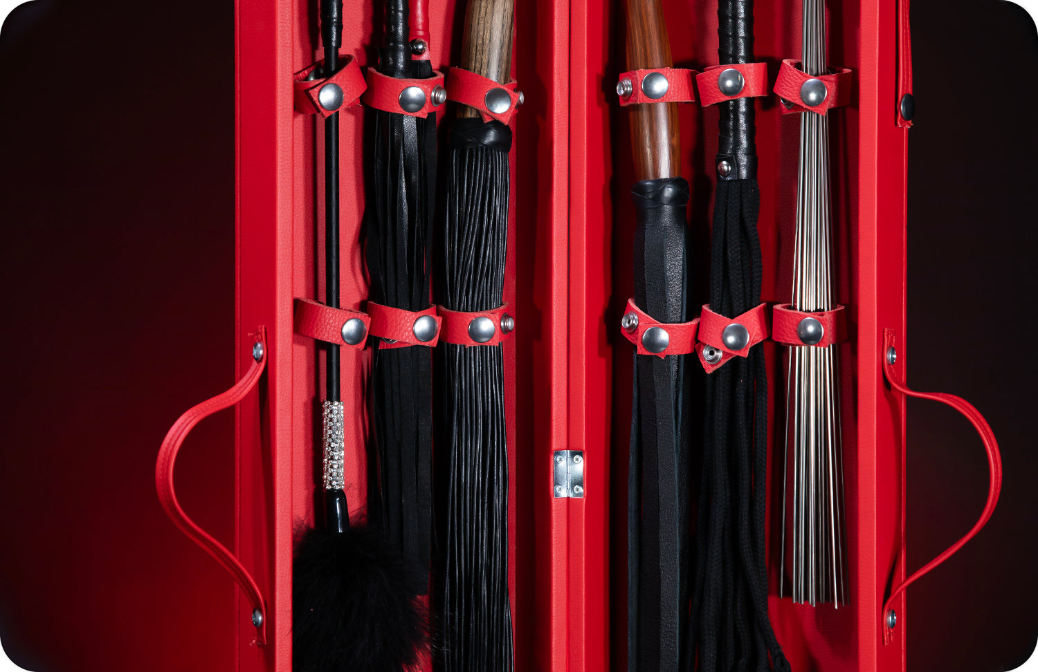 Diskreter Reisebegleiter: SCT®